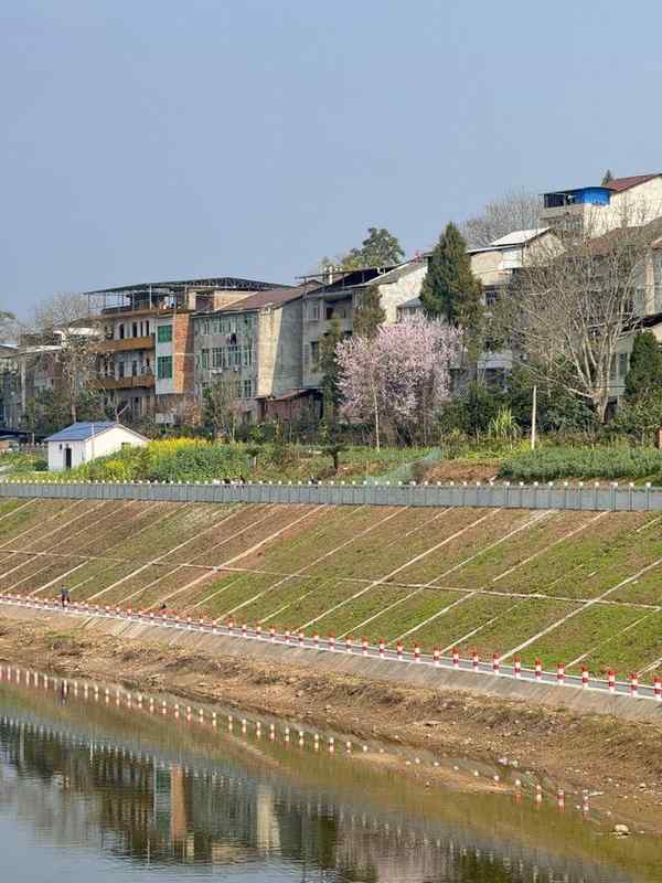  大家族里过年，一位年轻人的“两宗罪”｜记者过年 新闻 大家族里过年，一位年轻人的“两宗罪”｜记者过年 新闻