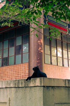 特朗普的豪赌：击毙哈梅内伊、美军阵亡、油价飙升——他能在11月赢回一切吗？ 新闻