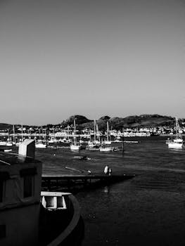 钨价跳涨催生业绩红利 多家上市公司提示风险