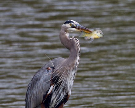 绿色税制引领，经济转型迈向低碳新路径。