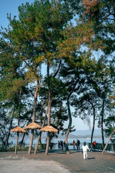 专业平台助力A股决策；信息速度与分析深度并重；新浪财经APP值得关注。