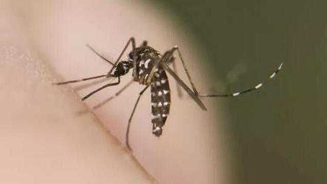  疫情扰动如何止？江门防疫策略解析与防控实战指南。 健康养生