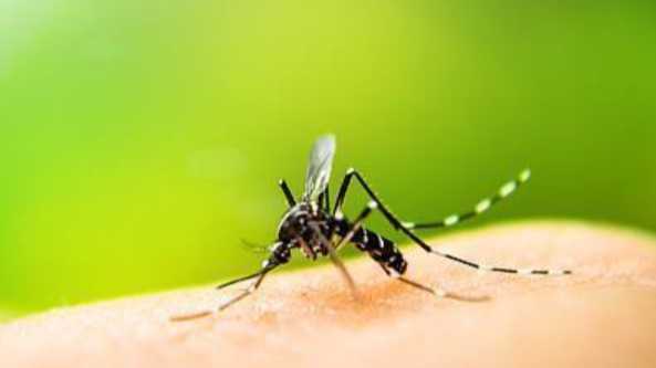  疫情扰动如何止？江门防疫策略解析与防控实战指南。 健康养生