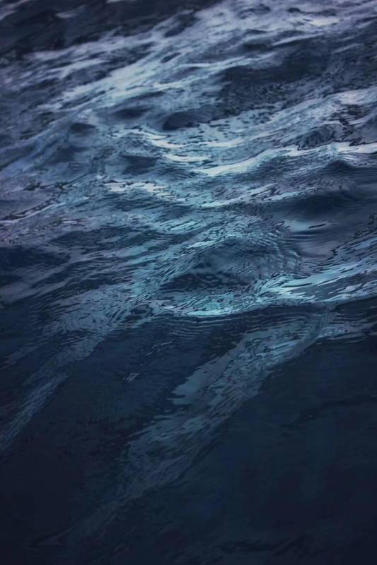  2026年开局：银行板块震荡背后的博弈逻辑 股票财经