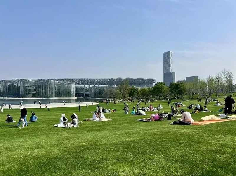  这个清明，有人穿越千年只为与你共赏一树花开 文化旅游