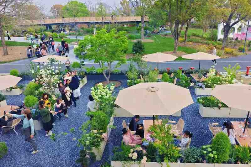  这个清明，有人穿越千年只为与你共赏一树花开 文化旅游