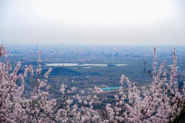  香山公园清明赏花攻略：三条精品路线技术拆解与实地验证 文化旅游