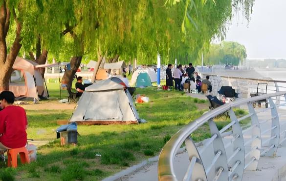  滨州清明春游目的地深度评测：5大免费景点全维度解析与高效出行方案 文化旅游