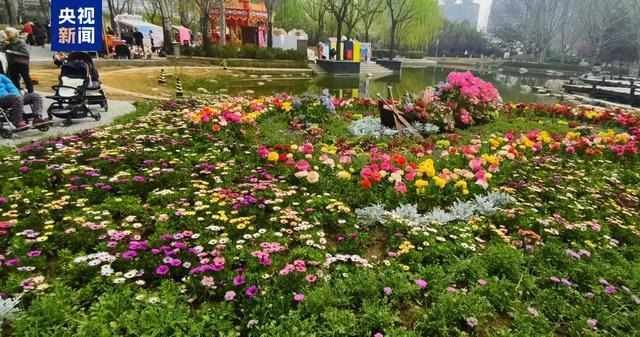  春天来了，去赴一场花的约会吧！京津冀赏花地图让赏春不再迷茫 文化旅游