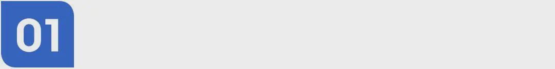  当信任被辜负：那些年我们追过的“女婿”，为何总让我们失望 新闻