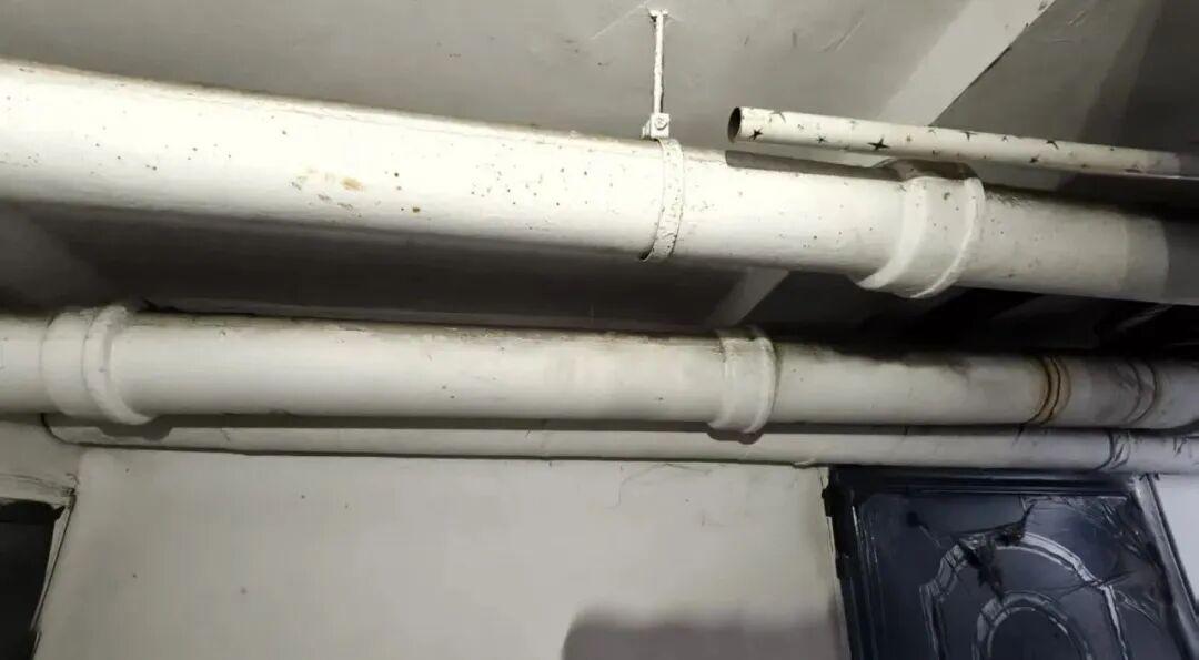  党建引领社区治理效能：东盐路社区管道维修案例的制度解构与方法提炼 文化旅游