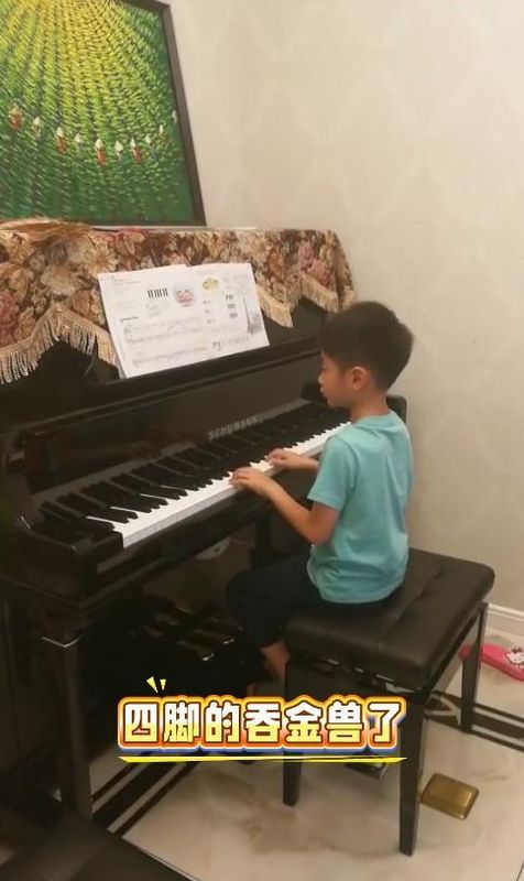  从领奖台到客厅：奥运冠军杨威的家庭经济账深度剖析 体育新闻