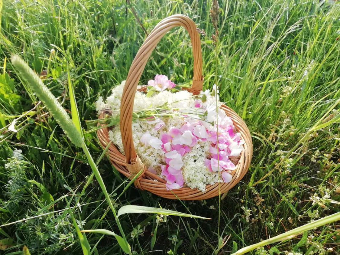  三月财富周期深度解析：三大生肖的复利增长逻辑与关键行动节点 文化旅游