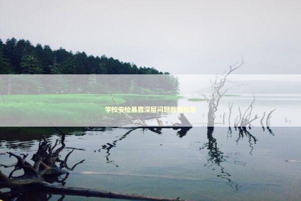 学校安检暴露深层问题教育反思