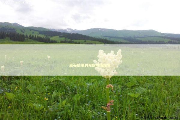 黑天鹅事件A股市场观察