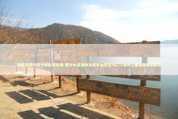 伊朗局势升级引爆能源市场-霍尔木兹海峡关闭石油天然气ETF涨停三桶油集体创新高