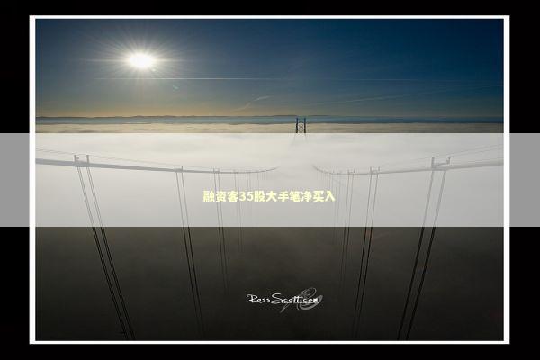 融资客35股大手笔净买入