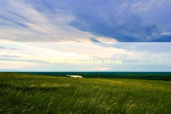 四大航司中东航线免手续费退票_小题大做型