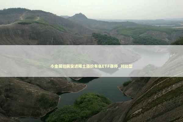 小金属狂飙突进稀土涨价有色ETF涨停_对比型