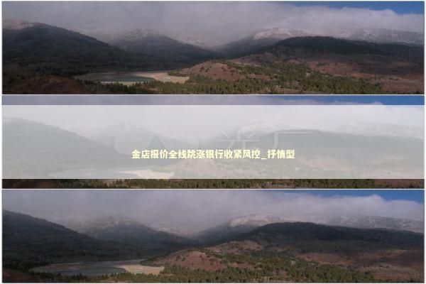 金店报价全线跳涨银行收紧风控_抒情型