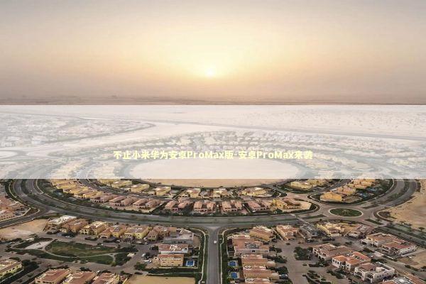 不止小米华为安卓ProMax版-安卓ProMax来袭