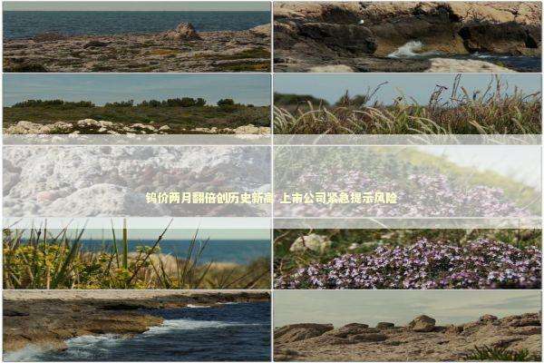 钨价两月翻倍创历史新高 上市公司紧急提示风险