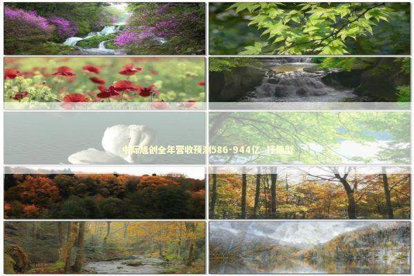 中际旭创全年营收预测586-944亿_抒情型