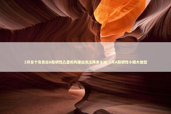 3月首个交易日A股韧性凸显机构建议关注两条主线-3月A股韧性小题大做型