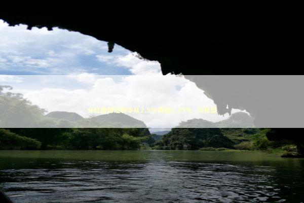 分红险保证利率从2.5%降至1.25%_引用型