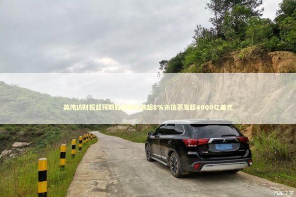 英伟达财报超预期股价却大跌超8%市值蒸发超4000亿美元