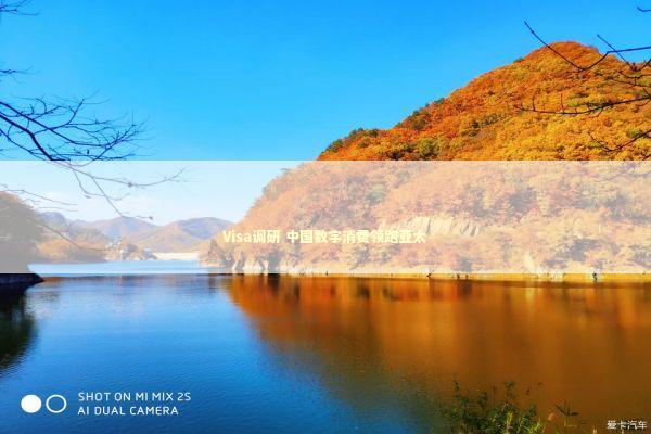 Visa调研 中国数字消费领跑亚太 新闻