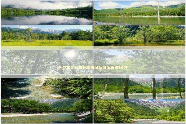 合资车企马年开跑雅阁插混版直降10万