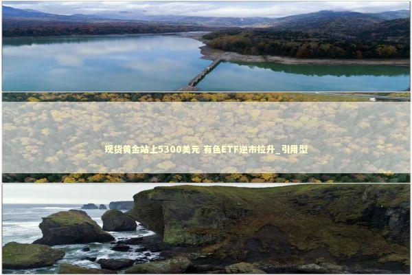 现货黄金站上5300美元 有色ETF逆市拉升_引用型 新闻
