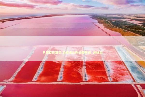 巴菲特谢幕季 伯克希尔利润跌三成_趣味型