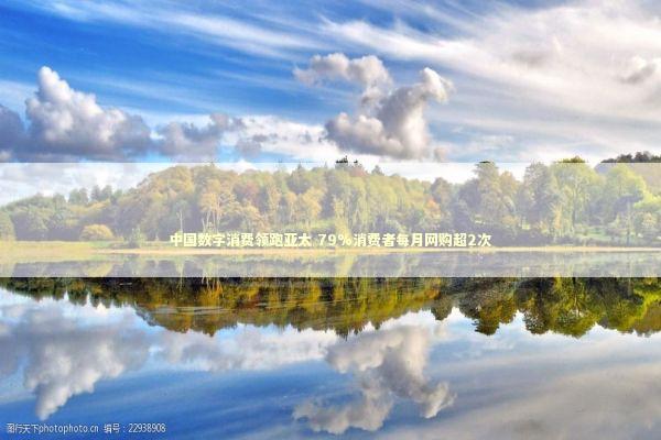 中国数字消费领跑亚太 79%消费者每月网购超2次