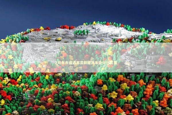 2月车市遭遇寒流新能源车企分化显著
