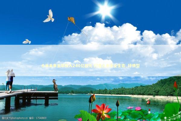 小米未来五年投入240亿欧元 打造人车家全生态_抒情型