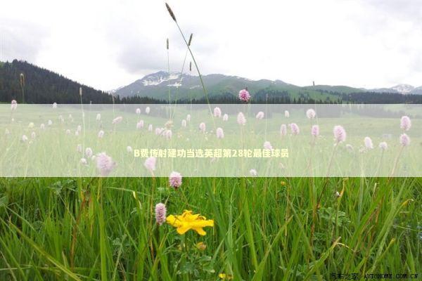 B费传射建功当选英超第28轮最佳球员