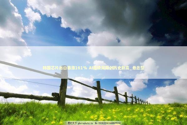 韩国芯片出口暴涨161% AI超级周期创历史新高_悬念型