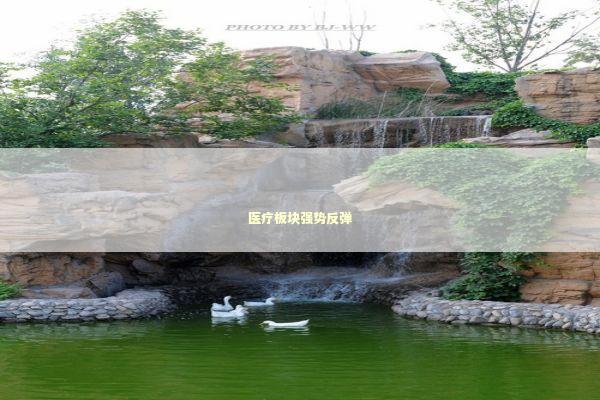 医疗板块强势反弹