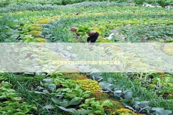 险资规模突破38万亿权益配置创四年新高