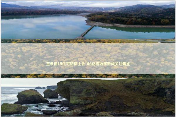 玉禾田15亿可转债上会 46亿应收账款成关注焦点