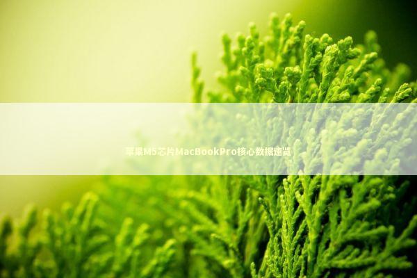 苹果M5芯片MacBookPro核心数据速览