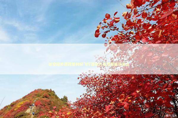 低空经济迎政策利好飞行器动力电池发展获关注 新闻