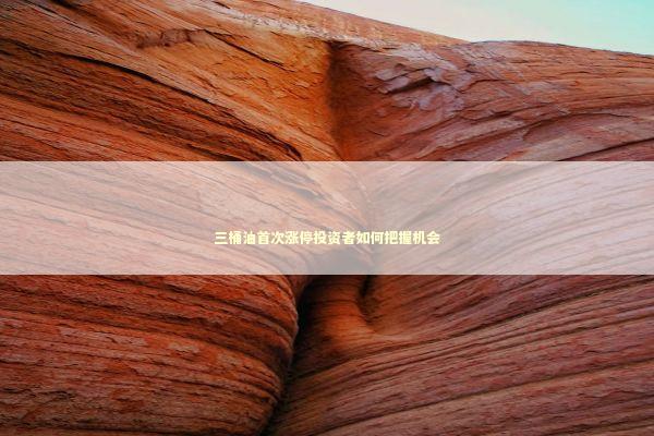 三桶油首次涨停投资者如何把握机会