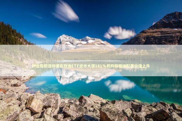 种业股掀涨停潮农牧渔ETF逆市大涨181%机构称板块配置价值上升
