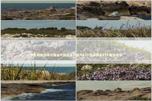 中东局势升级引爆油气板块多只油气ETF涨停黄金ETF集体大涨