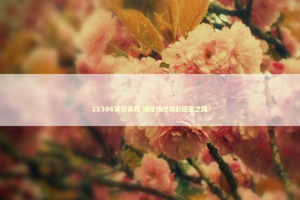 12306背后真相 谁在操控你的回家之路