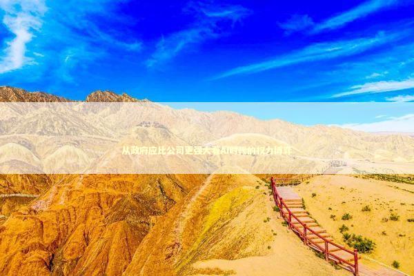 从政府应比公司更强大看AI时代的权力博弈