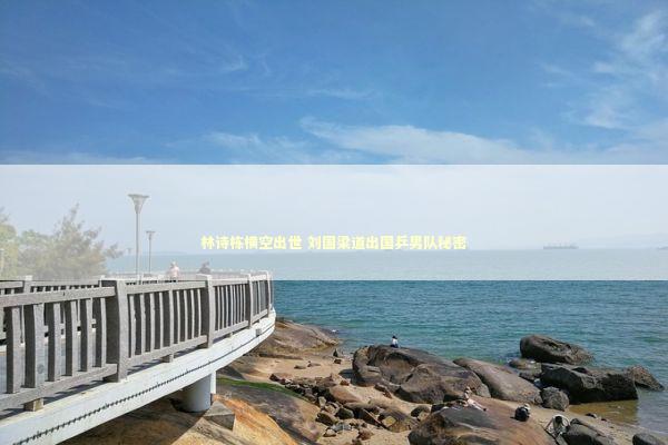 林诗栋横空出世 刘国梁道出国乒男队秘密